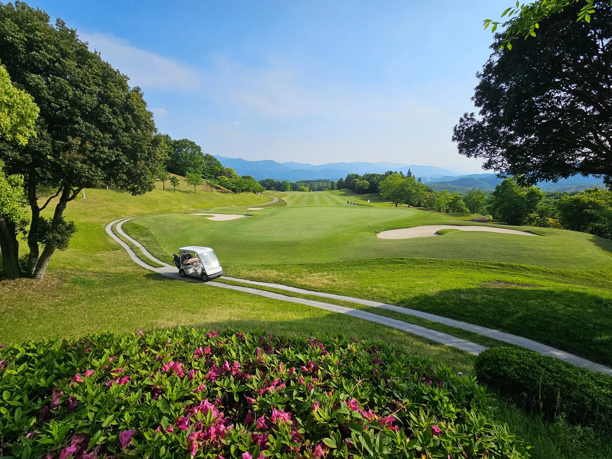 만노힐즈 컨트리클럽의 푸른 필드 전경