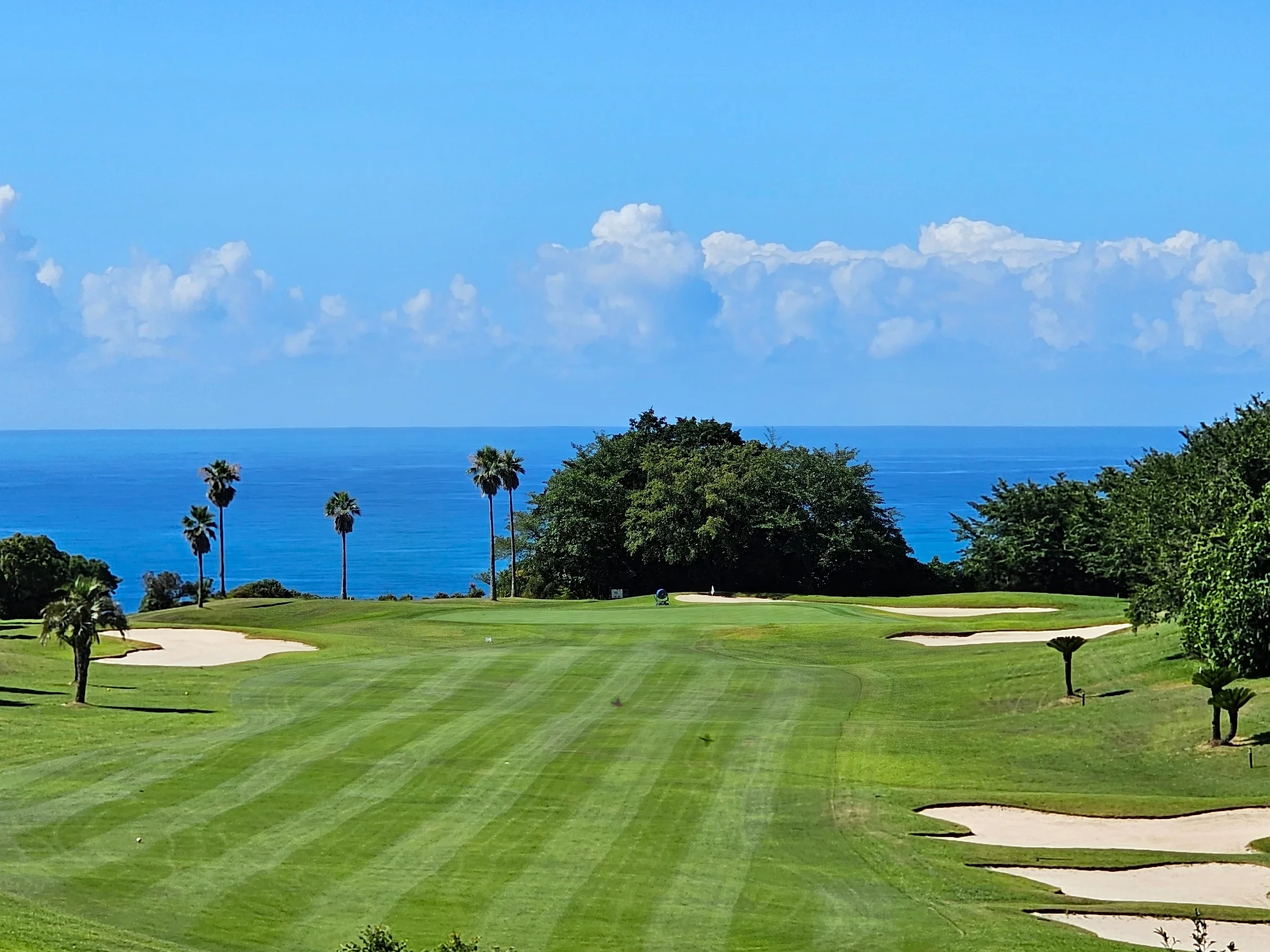 구로시오 컨트리클럽의 탁 트인 골프 코스