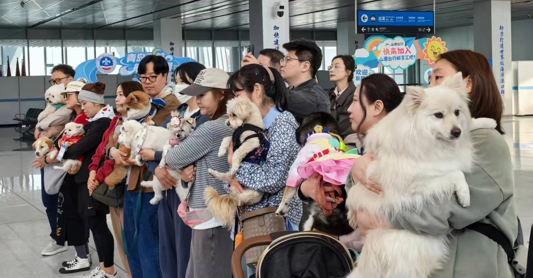 반려동물과 함께 칭다오 명소를 둘러보는 관광객들