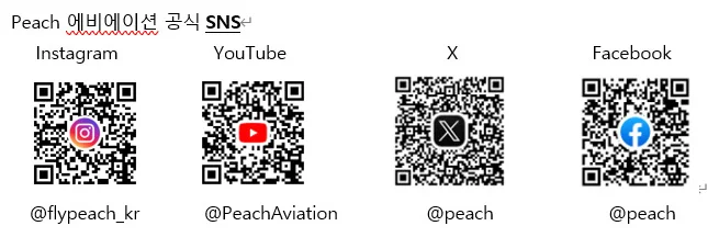 활주로에서 이륙을 준비하는 피치항공 여객기 전경