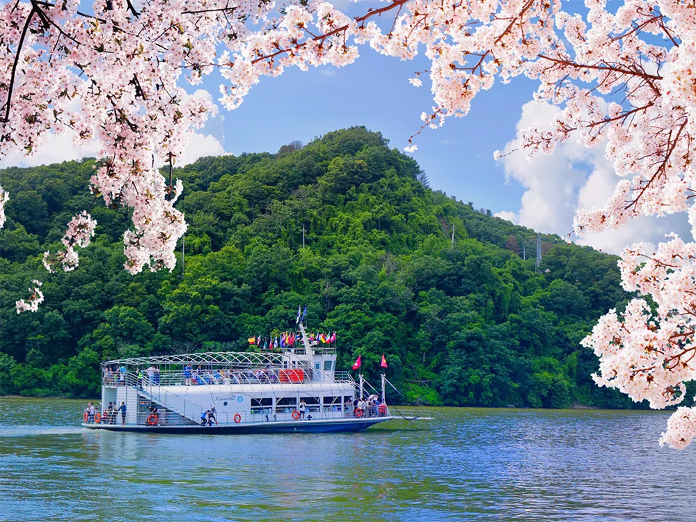 서울 주요 거점에서 운행되는 남이섬 직행 셔틀