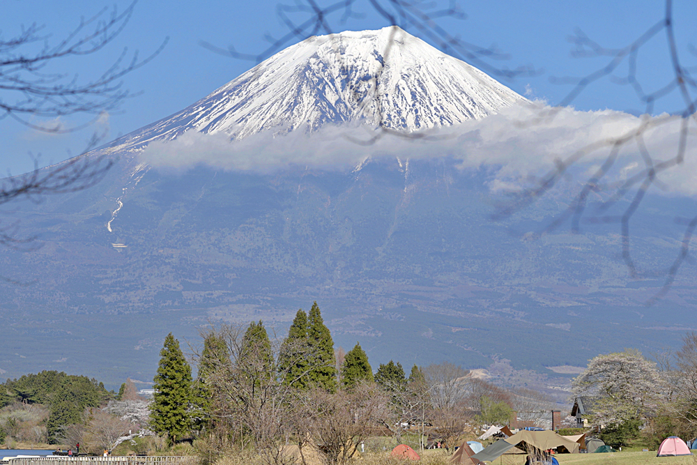 시즈오카현 '타누키코' 캠핑장