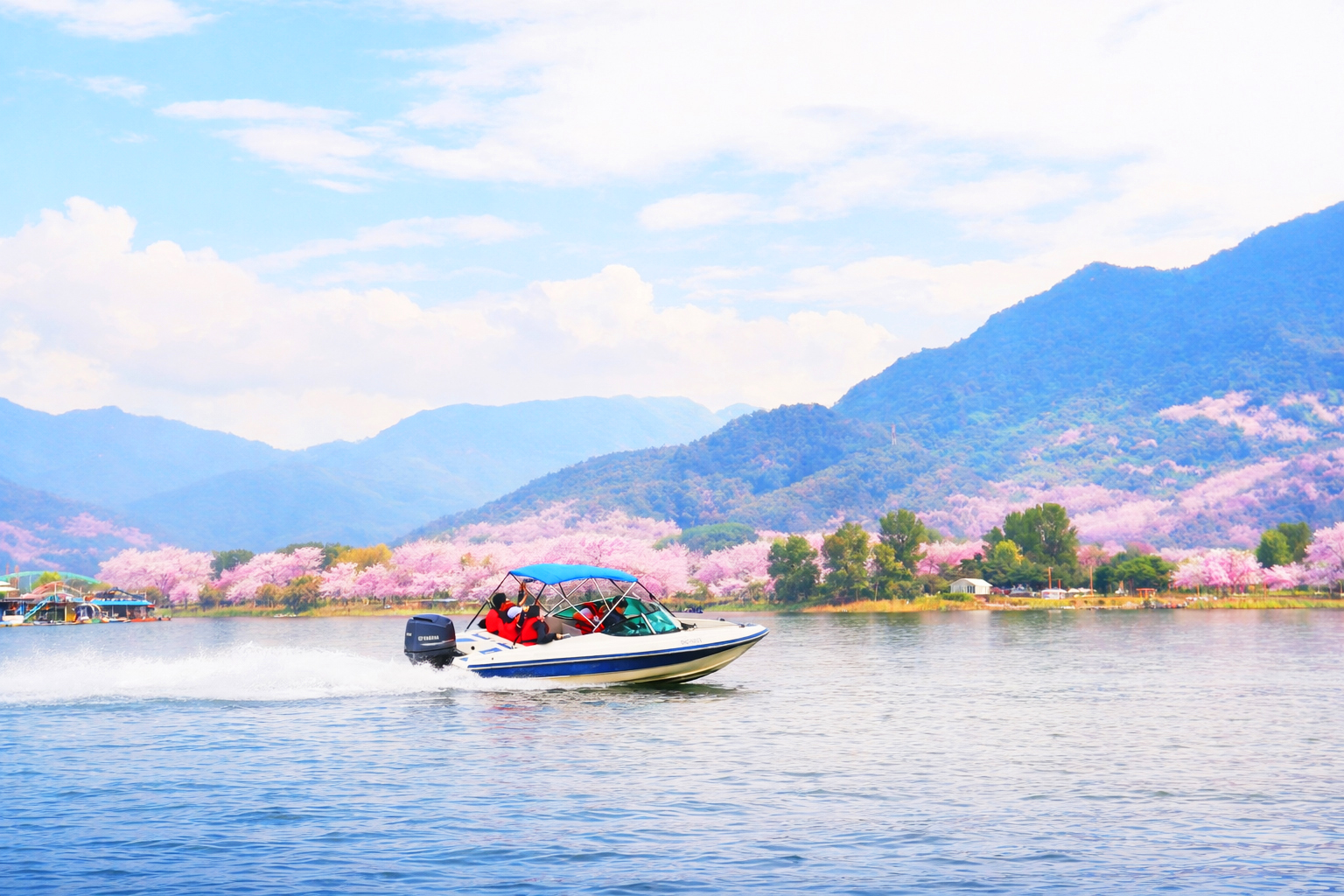 분홍빛 벚꽃이 만개한 산을 배경으로 사람들이 탄 모터보트가