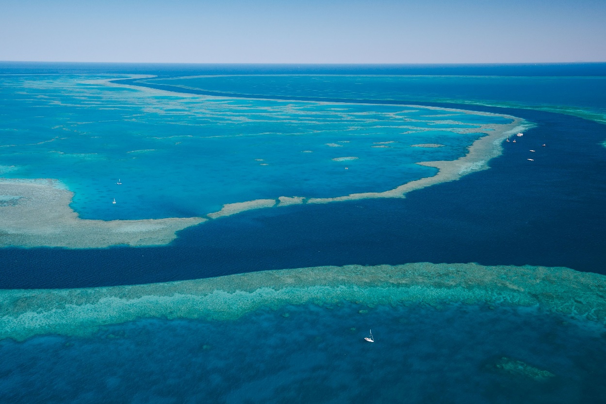 에메랄드빛 바다와 신비로운 산호초가 어우러진 대산호초의 장관