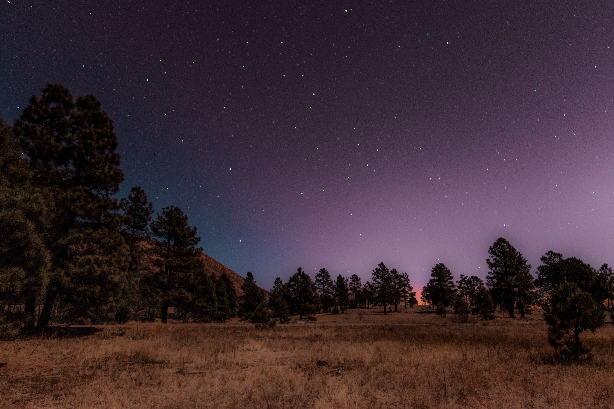 애리조나주 플래그스태프